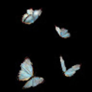 Meet your Posher, Beomi